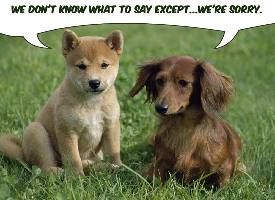 savethepuppiesallovertheworld.jpg